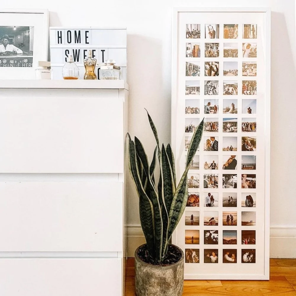 Moments Frame colors